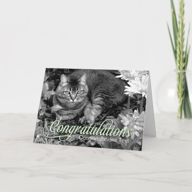 Cartão Garden Cat Blank Congratulations Card (Frente)