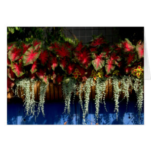 Cartão Garden Center #34 de Wegerzyn