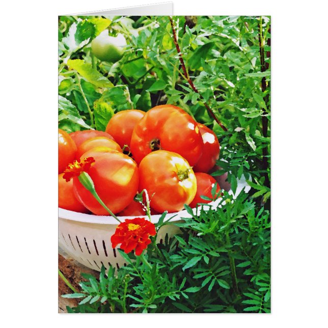 Cartão Garden Goodies (Frente)