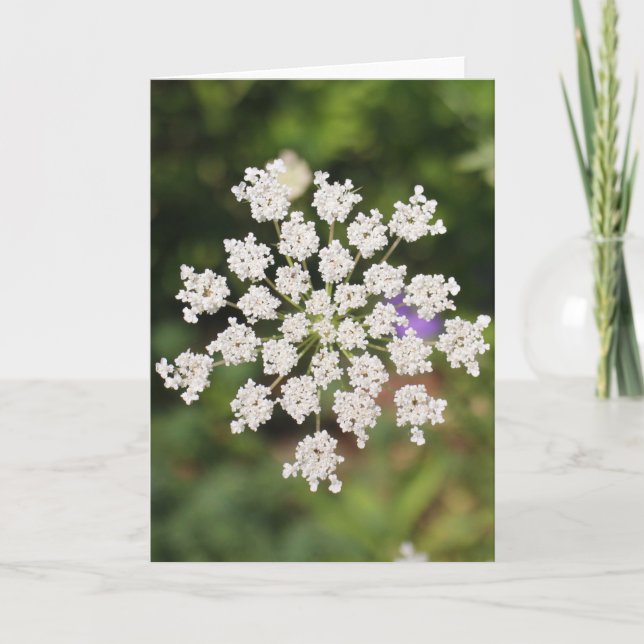 Cartão Garden O Weedin Talking Canyons, Novo México (Frente)