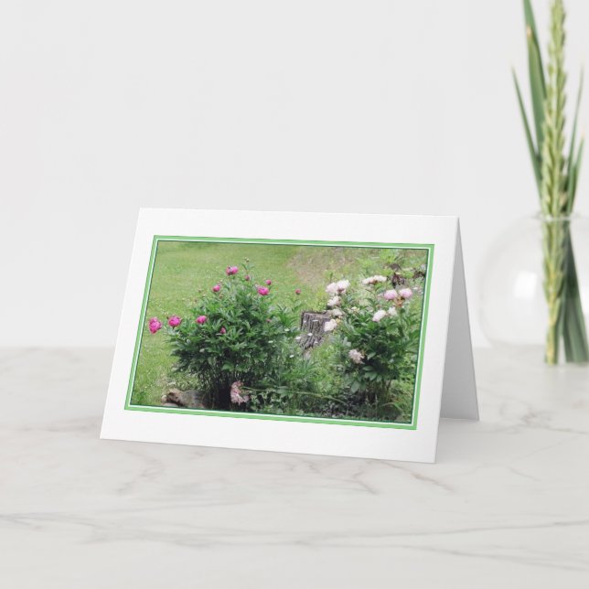 Cartão Garden Roses Blank Greeting Card (Frente)