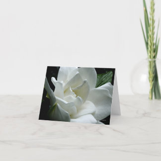 Cartão Gardenia