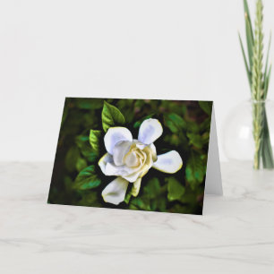 Cartão Gardenia, card