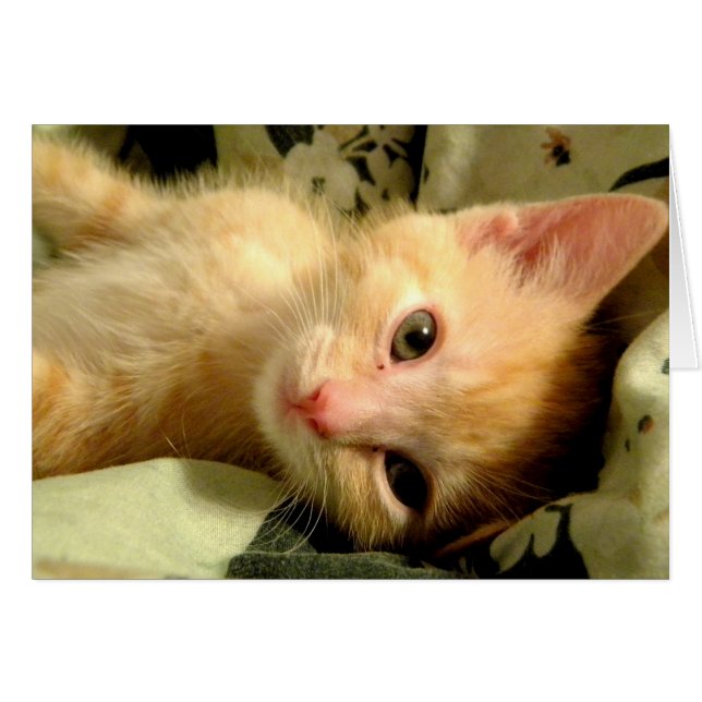 Cartão Garoto Sonolento I (Frente Horizontal)