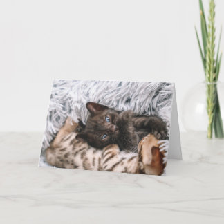 Cartão Gatinho