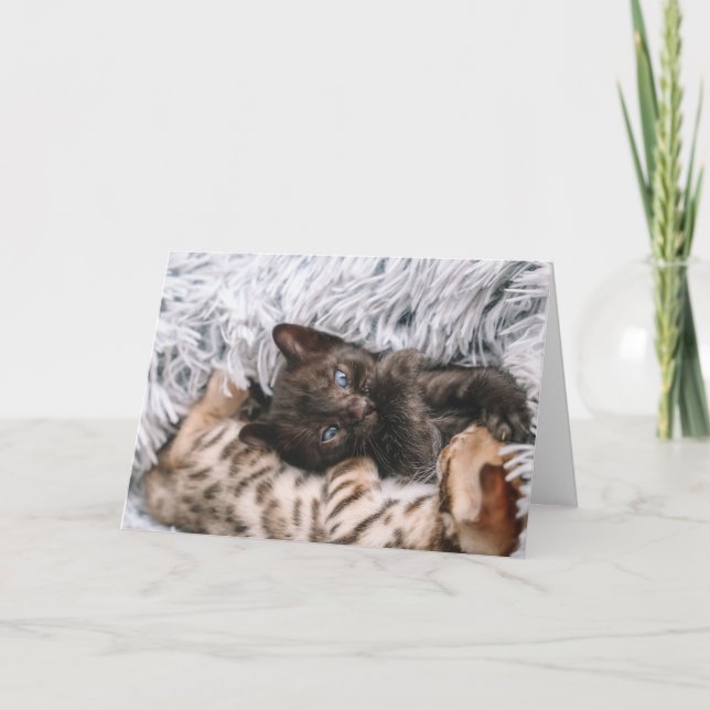 Cartão Gatinho (Frente)