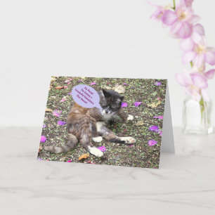 Cartão "Gatinho adormecido/sonho de Dia de os namorados"