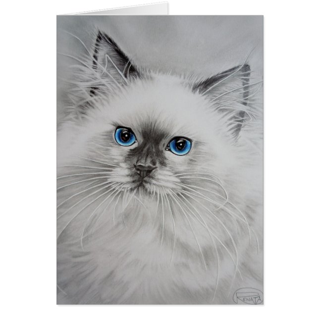 Cartão Gatinho bonito (Frente)