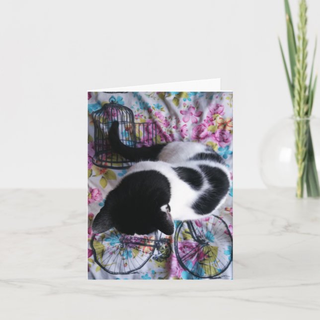 Cartão Gatinho bonito de assento Notecard (Frente)