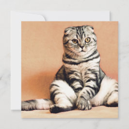 Cartão Gatinho Bonito Desenterrado