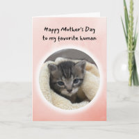 Gatinho Bonito, você é meu Dia de as mães Humano F
