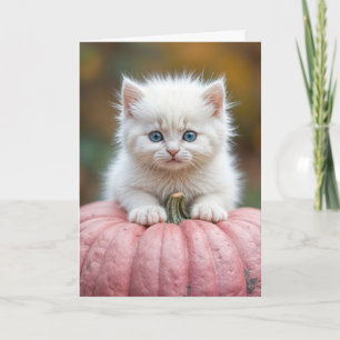 Cartão Gatinho Branco de Aniversário em Abóbora Rosa