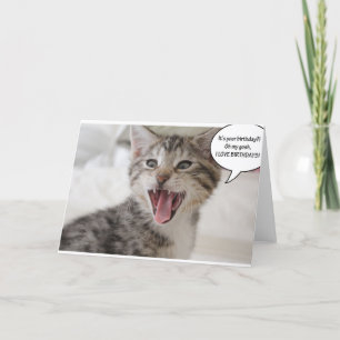 Cartão Gatinho de aniversário super surpreso!