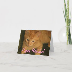 Cartão Gatinho de "cartão de aniversário do DIA PURFECT