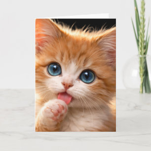 Cartão Gatinho de Olhos Azuis Lambendo a Pata