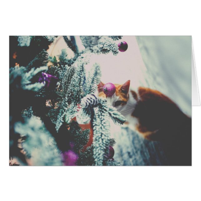 Cartão Gatinho debaixo da árvore de Natal (Frente Horizontal)