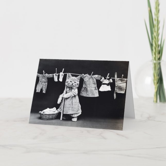 Cartão Gatinho do dia da lavanderia (Frente)