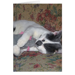 Cartão Gatinho Dormindo