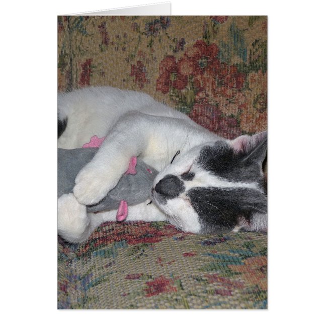 Cartão Gatinho Dormindo (Frente)