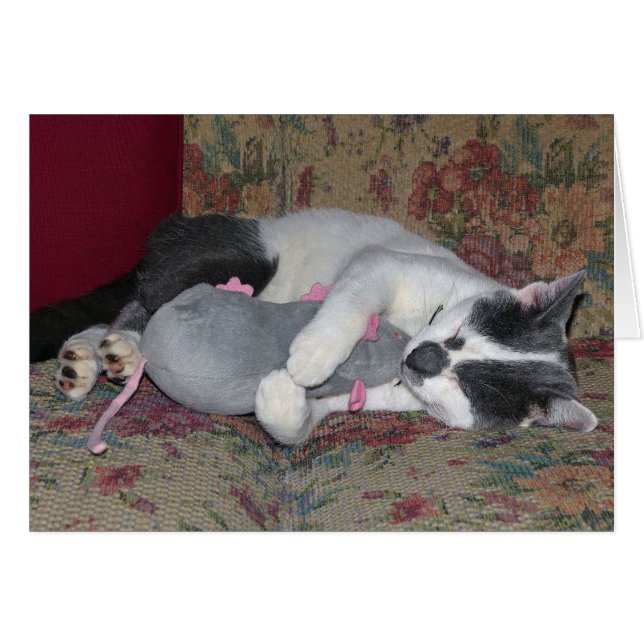 Cartão Gatinho Dormindo (Frente Horizontal)