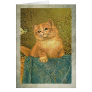 Cartão Gatinho e borboleta