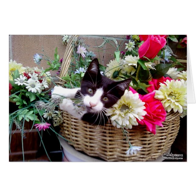 Cartão Gatinho em uma Cesta (Frente horizontal)