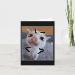 Cartão Gatinho Engraçado Gato Furioso Fresco Gatinho Fres