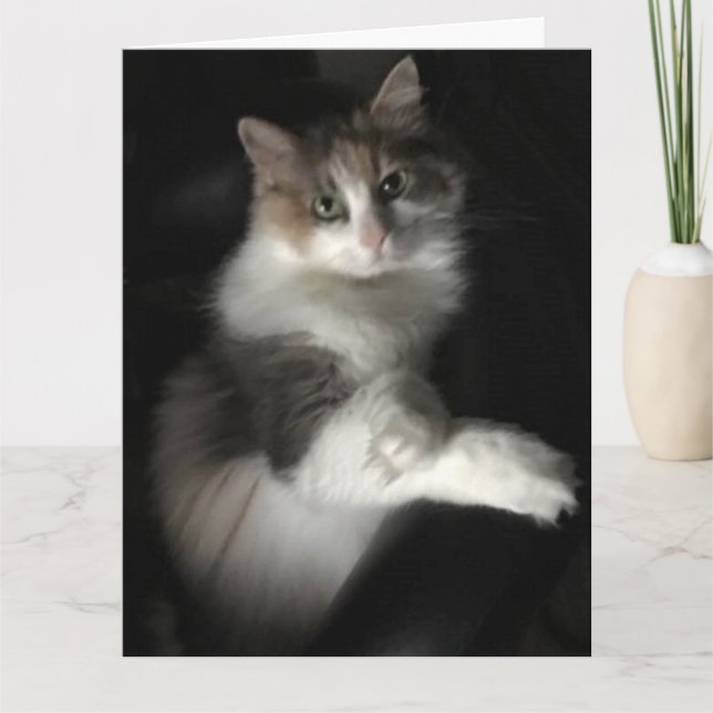 Cartão gatinho falhado (Frente)