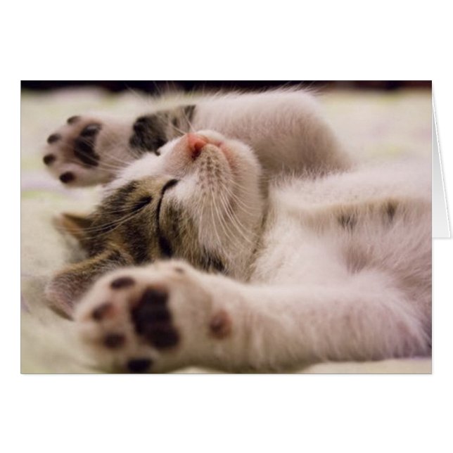 Cartão Gatinho Fofo (Frente Horizontal)