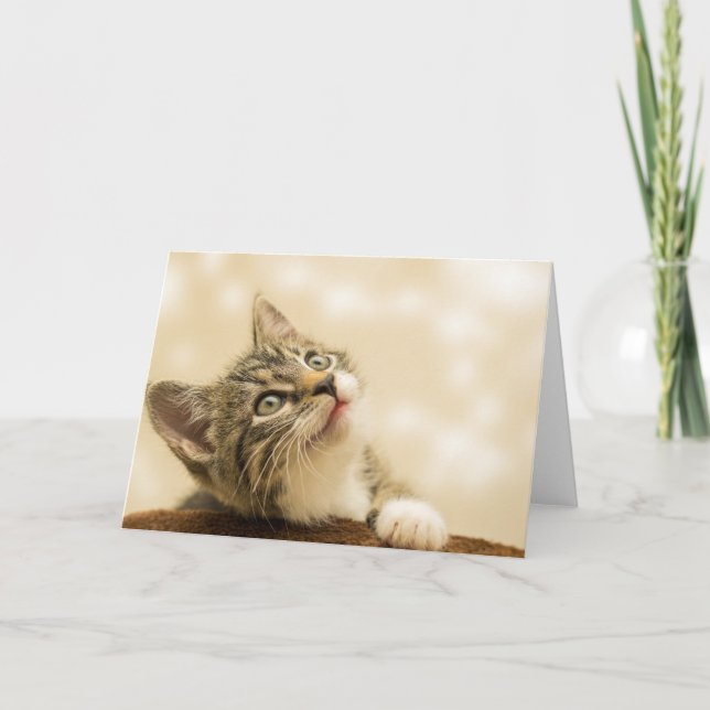 Cartão Gatinho Fofo com uma Pata Estimulada (Frente)