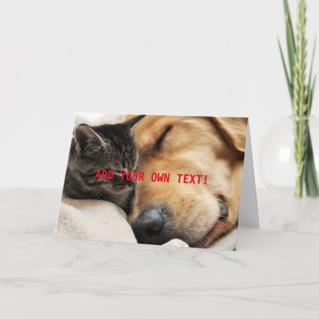 Cartão Gatinho Fofo e Cachorrinho ADICIONE SEU PRÓPRIO TE (Frente)