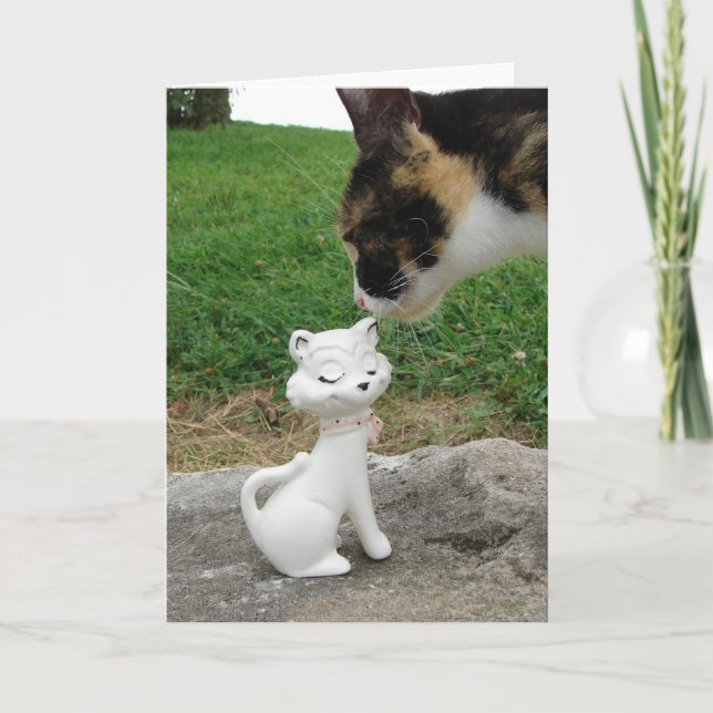 Cartão Gatinho, Gatinho (Frente)