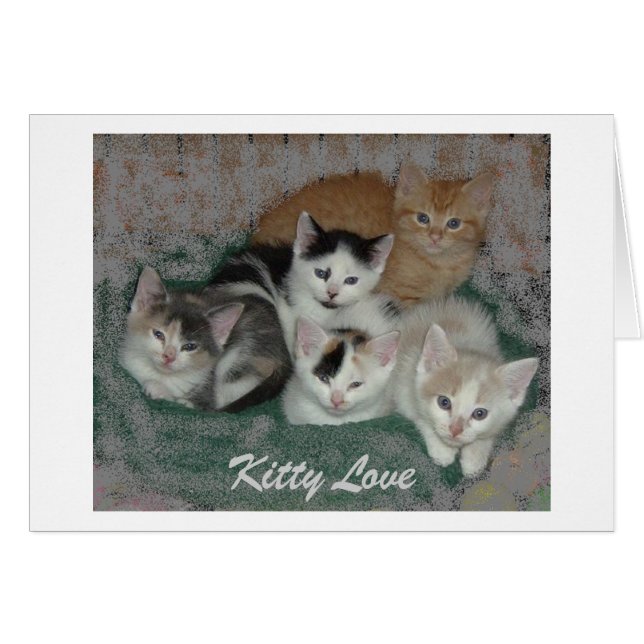 Cartão Gatinho Love (Frente Horizontal)