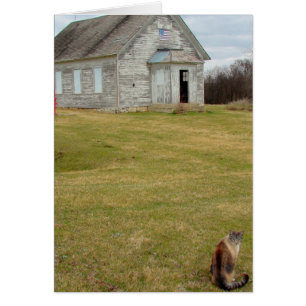 Cartão Gatinho na escola