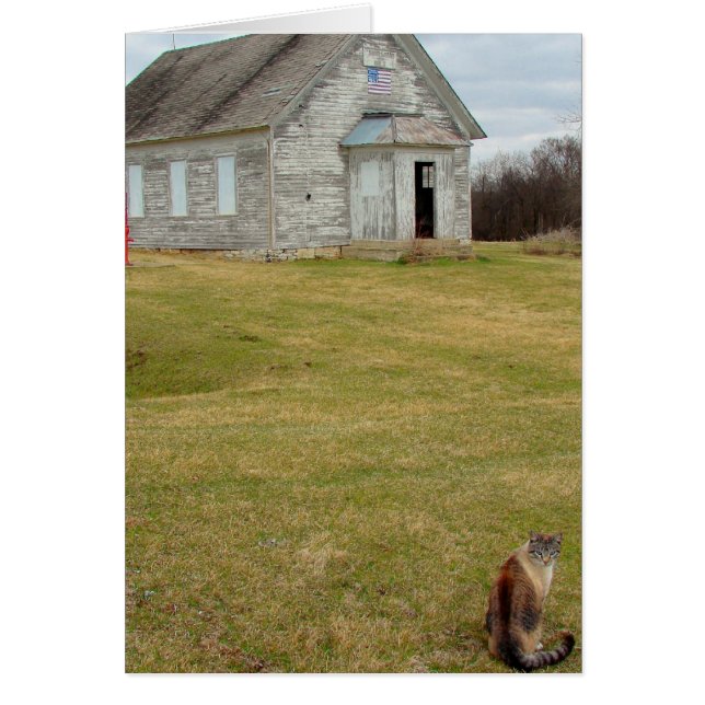 Cartão Gatinho na escola (Frente)