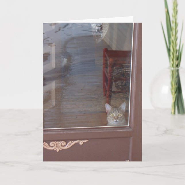 Cartão Gatinho na porta (Frente)