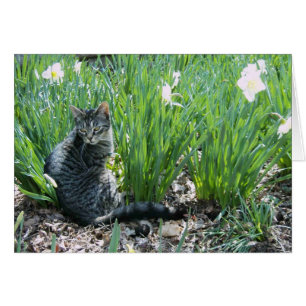 CARTÃO GATINHO NO JARDIM