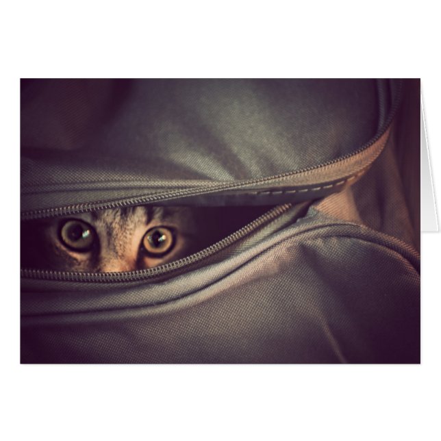 Cartão Gatinho novo do gato malhado (Frente Horizontal)