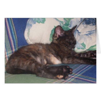 Cartão Gatinho pequeno