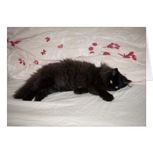 Cartão Gatinho Preto Bonito