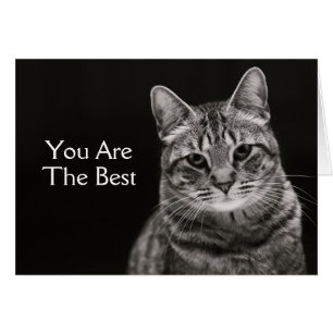 Cartão Gatinho preto do gato malhado