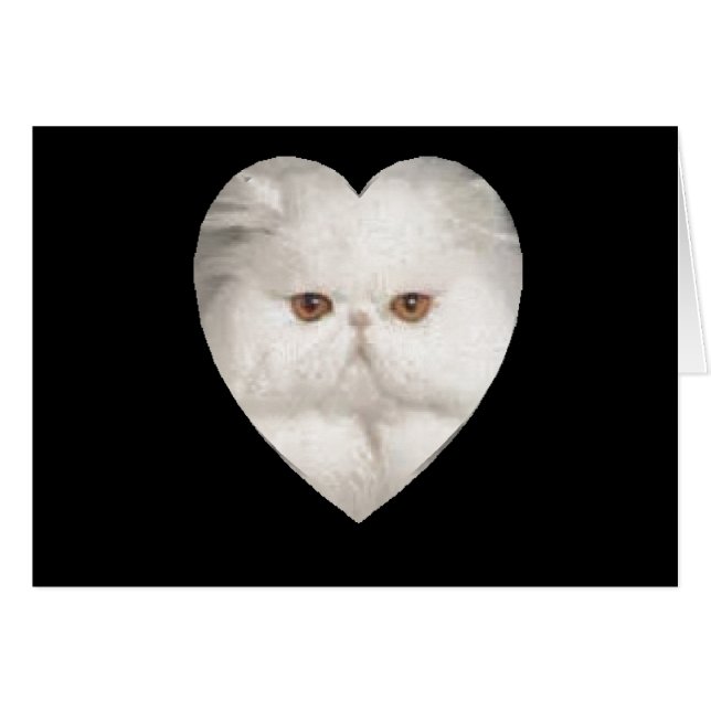 Cartão Gatinho Purfect (Frente Horizontal)