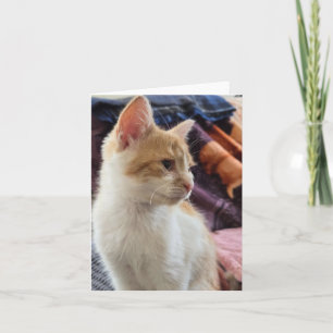 Cartão Gatinho ruivo