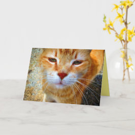 Cartão Gatinho Ruivo Fofo Gatinho Pequeno Amigável