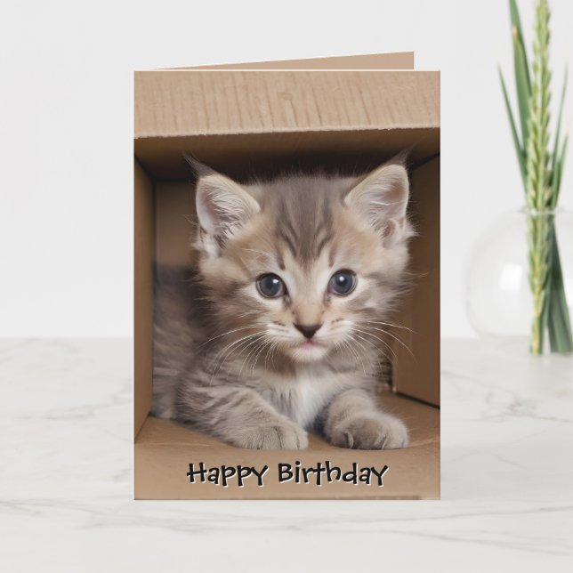 Cartão Gatinho Tabby de Aniversário na Caixa de Papelão (Frente)