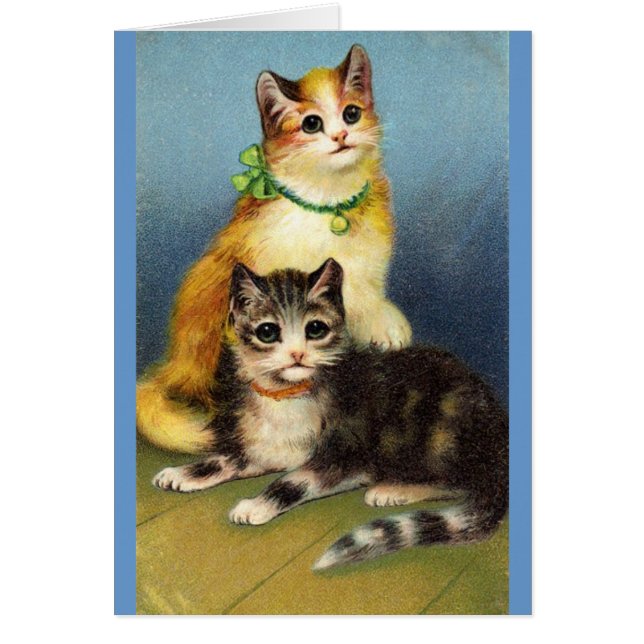 Cartão Gatinhos (Frente)