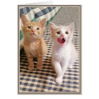 Cartão Gatinhos da placa PUP 5