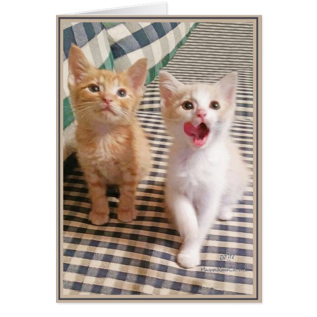 Cartão Gatinhos da placa PUP 5 (Frente)