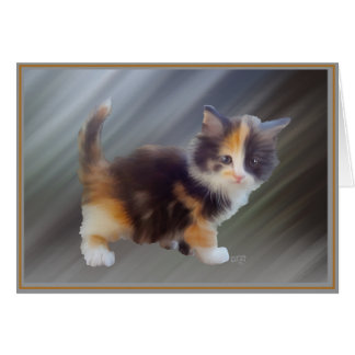 Cartão Gatinhos da placa PUP 8