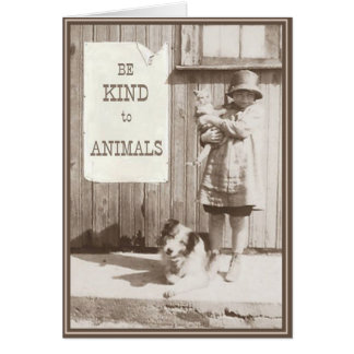 Cartão Gatinhos de placa PUPs 10